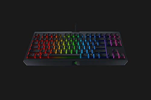 Razer BlackWidow TE Chroma v2 TKL Tenkeyless Mechanical Gaming Keyboard: Orange Key Switches, Tactile & Silent, Chroma RGB Lighting, Magnetic Wrist Rest, Programmable Macros, Classic Black