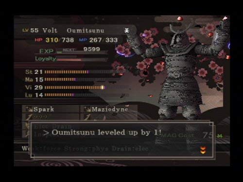 Shin Megami Tensei Devil Summoner - PlayStation 2 (Renewed)