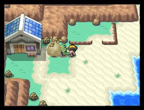 Pokemon SoulSilver Version (Renewed)