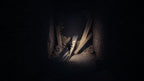 REANIMAL: Collector's Edition - Nintendo Switch 2