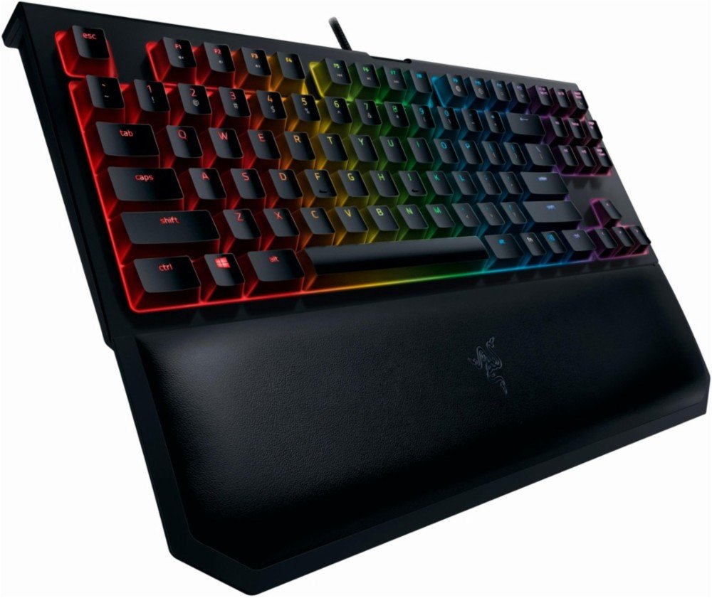 Razer BlackWidow TE Chroma v2 TKL Tenkeyless Mechanical Gaming Keyboard: Orange Key Switches, Tactile & Silent, Chroma RGB Lighting, Magnetic Wrist Rest, Programmable Macros, Classic Black