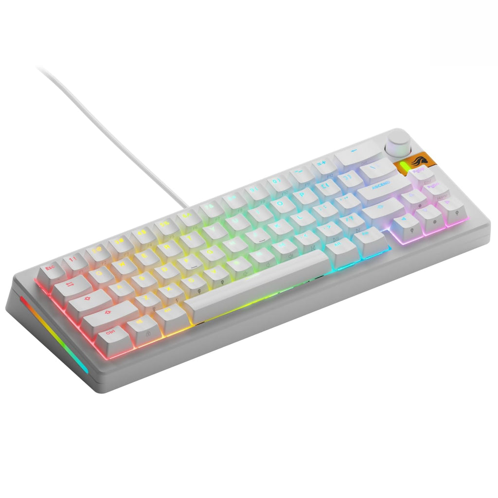 GLORIOUS Gaming - GMMK 3 HE Rapid Trigger Keyboard, Hall Effect, 8K Polling Rate, MX Mechanical & Magnetic Switches, Hotswappable 100% Keyboard, Modular Gasket System, Doubleshot PBT keycaps (Black)