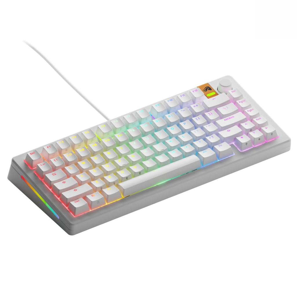 GLORIOUS Gaming - GMMK 3 HE Rapid Trigger Keyboard, Hall Effect, 8K Polling Rate, MX Mechanical & Magnetic Switches, Hotswappable 100% Keyboard, Modular Gasket System, Doubleshot PBT keycaps (Black)