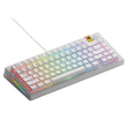 GLORIOUS Gaming - GMMK 3 HE Rapid Trigger Keyboard, Hall Effect, 8K Polling Rate, MX Mechanical & Magnetic Switches, Hotswappable 100% Keyboard, Modular Gasket System, Doubleshot PBT keycaps (Black)