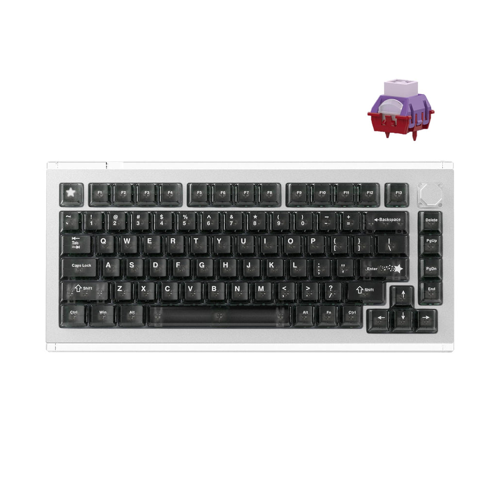 DrunkDeer A75 Master Rapid Trigger Keyboard, Esports Gaming Keyboard, Magnetic Switch, Adjustable Actuation - RT Plus - RT Match, 8K Hz, 0.01mm, 75% Design - ANSI, Silver - TTC POM Switch