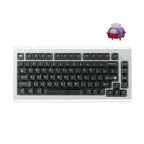 DrunkDeer A75 Master Rapid Trigger Keyboard, Esports Gaming Keyboard, Magnetic Switch, Adjustable Actuation - RT Plus - RT Match, 8K Hz, 0.01mm, 75% Design - ANSI, Silver - TTC POM Switch