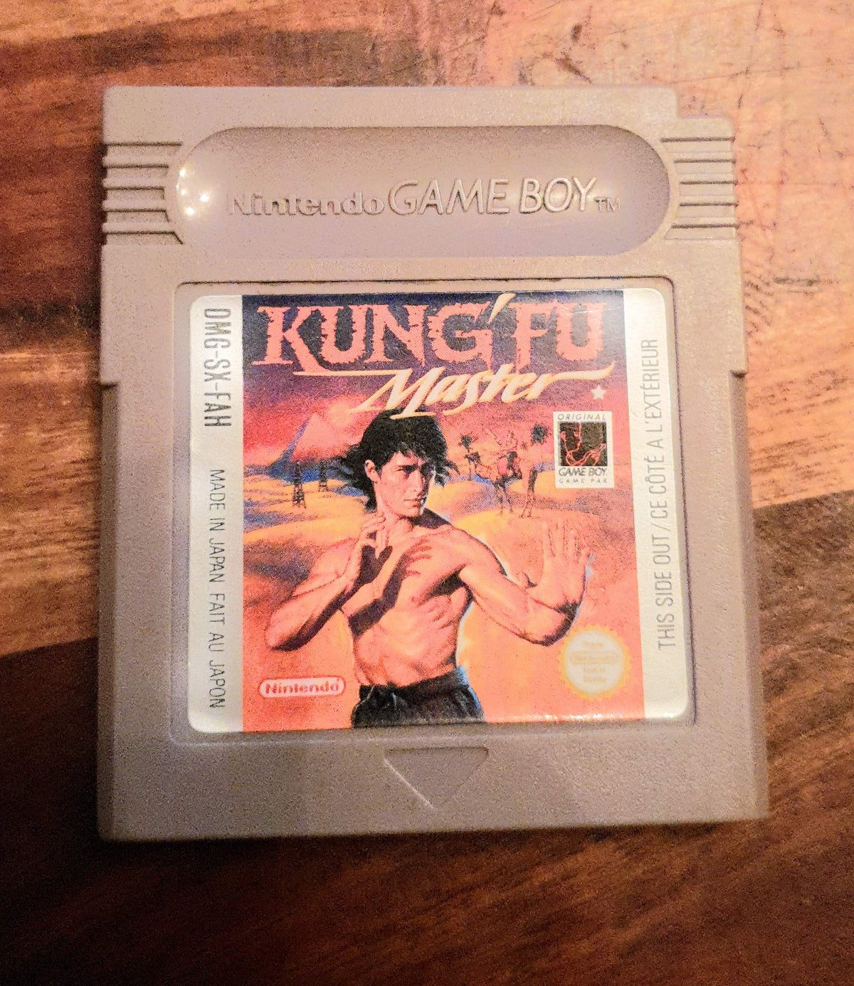 Kung-fu Master for Nintendo Game Boy