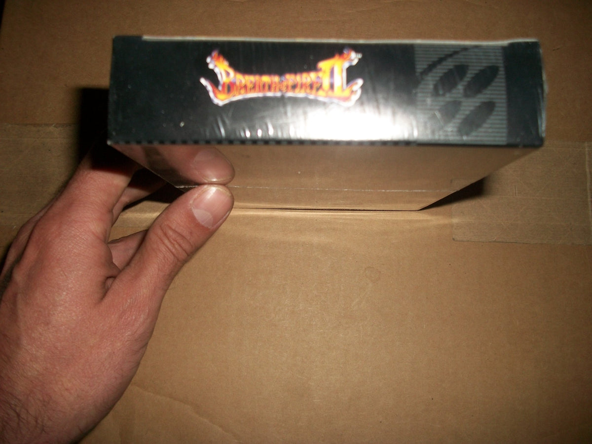 Breath of Fire II (Renewed)